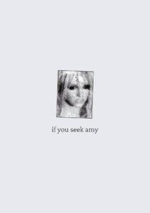 if you seek amy