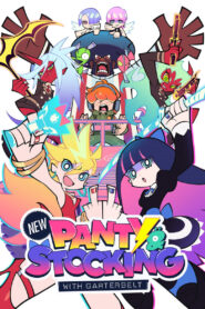 New PANTY & STOCKING with GARTERBELT