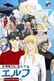 #神奈川に住んでるエルフ