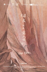 The Peel 褪皮 以及露出來的