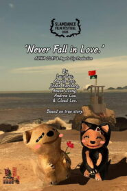 Never Fall in Love.